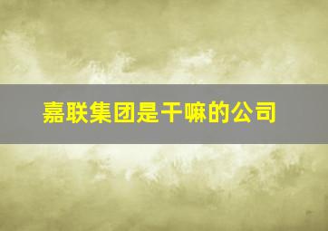 嘉联集团是干嘛的公司