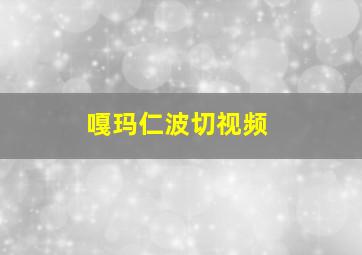 嘎玛仁波切视频