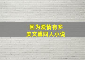 因为爱情有多美文馨同人小说