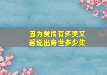 因为爱情有多美文馨说出身世多少集