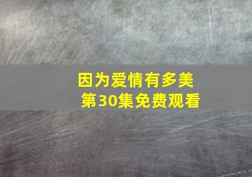 因为爱情有多美第30集免费观看