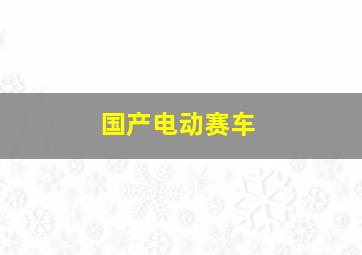 国产电动赛车