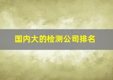 国内大的检测公司排名