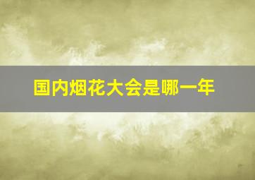 国内烟花大会是哪一年