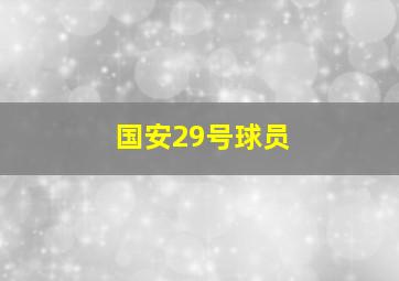 国安29号球员