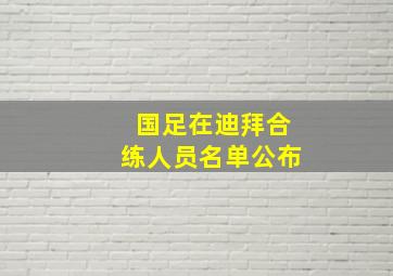 国足在迪拜合练人员名单公布