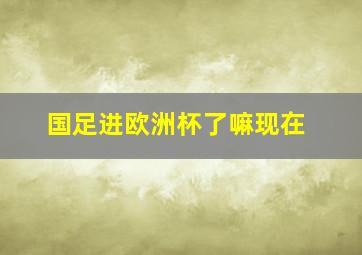 国足进欧洲杯了嘛现在