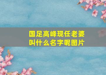 国足高峰现任老婆叫什么名字呢图片