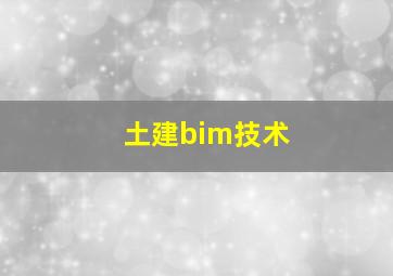 土建bim技术