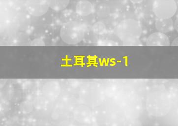 土耳其ws-1