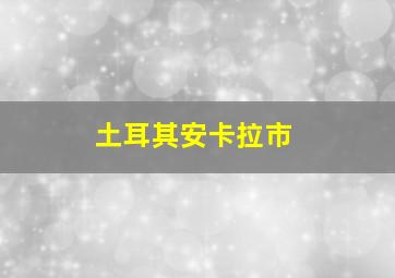 土耳其安卡拉市