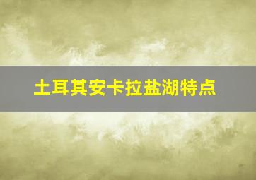 土耳其安卡拉盐湖特点