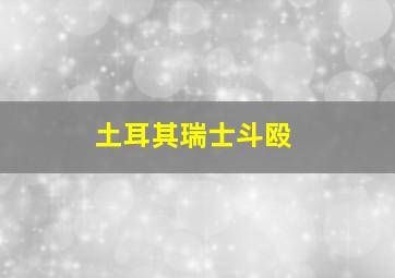 土耳其瑞士斗殴