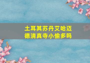 土耳其苏丹艾哈迈德清真寺小偷多吗