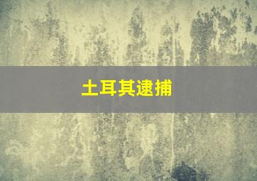 土耳其逮捕