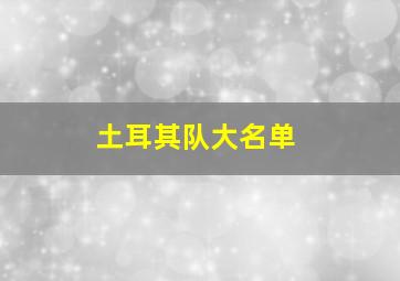 土耳其队大名单