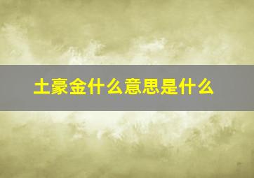 土豪金什么意思是什么