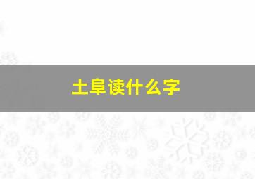 土阜读什么字