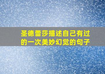 圣德蕾莎描述自己有过的一次美妙幻觉的句子