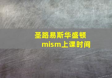 圣路易斯华盛顿mism上课时间