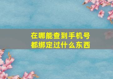 在哪能查到手机号都绑定过什么东西