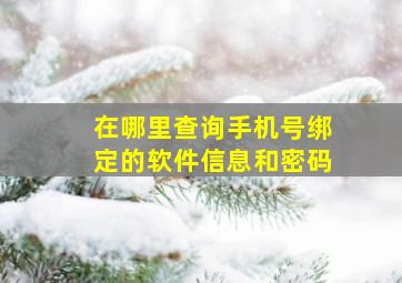 在哪里查询手机号绑定的软件信息和密码