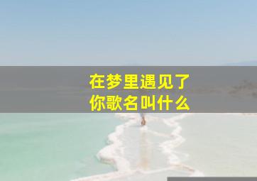 在梦里遇见了你歌名叫什么