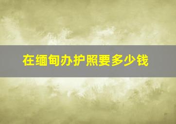 在缅甸办护照要多少钱