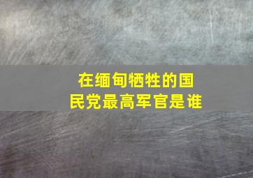 在缅甸牺牲的国民党最高军官是谁