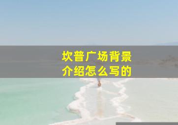 坎普广场背景介绍怎么写的