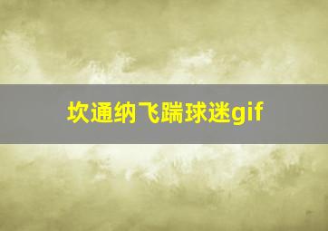 坎通纳飞踹球迷gif