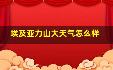 埃及亚力山大天气怎么样