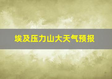 埃及压力山大天气预报