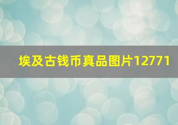 埃及古钱币真品图片12771