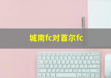 城南fc对首尔fc