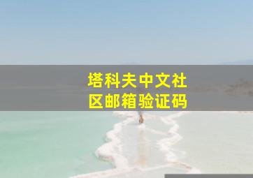 塔科夫中文社区邮箱验证码