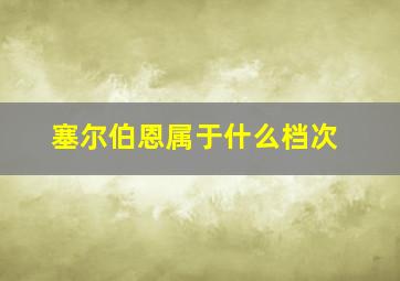 塞尔伯恩属于什么档次