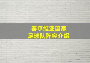 塞尔维亚国家足球队阵容介绍