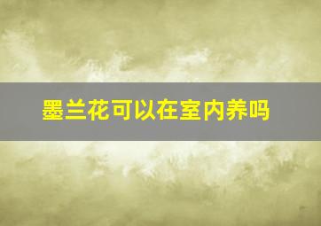 墨兰花可以在室内养吗