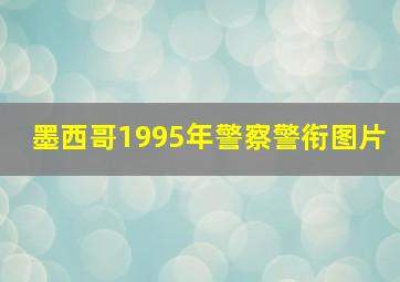 墨西哥1995年警察警衔图片