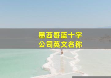 墨西哥蓝十字公司英文名称