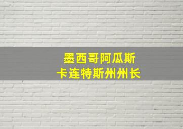 墨西哥阿瓜斯卡连特斯州州长