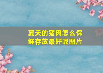 夏天的猪肉怎么保鲜存放最好呢图片