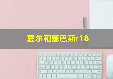 夏尔和塞巴斯r18