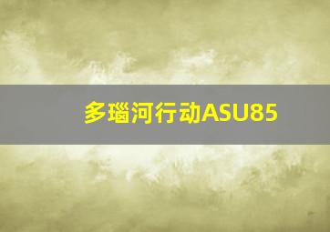 多瑙河行动ASU85