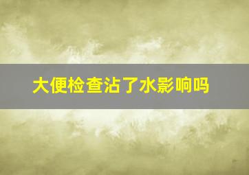 大便检查沾了水影响吗