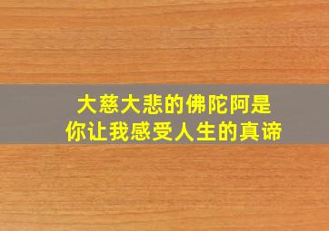 大慈大悲的佛陀阿是你让我感受人生的真谛