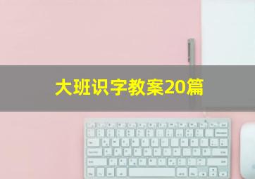 大班识字教案20篇