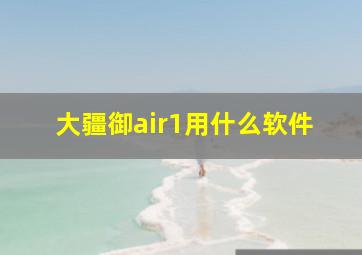 大疆御air1用什么软件