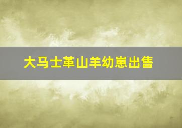 大马士革山羊幼崽出售